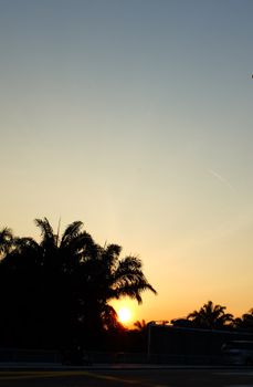 在马来西亚八打灵再也，美丽的日落映衬着棕榈树的轮廓，天空充满活力