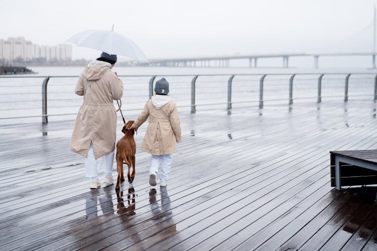 A Person And A Child Walking The Dog Near The Ocean