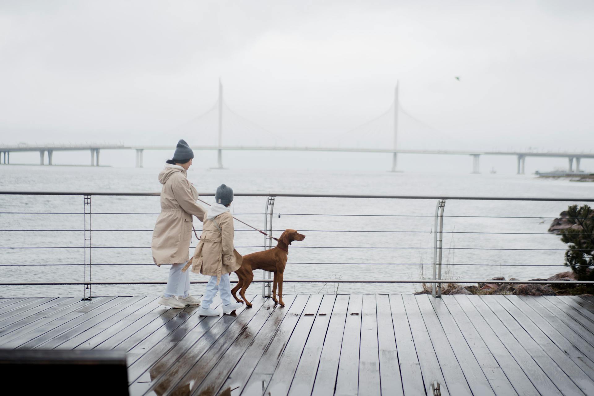 Woman and Child Walking With Brown Short Coated Dog on Bridge