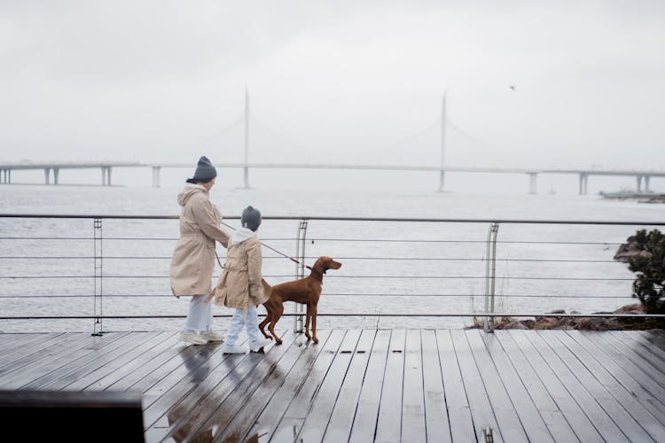 Woman And Child Walking With Brown Short Coated Dog On Bridge 