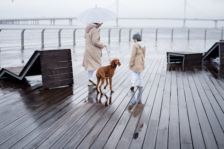 A Person And A Child Walking The Dog Near The Ocean