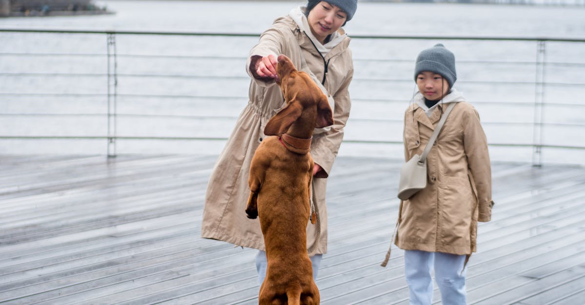 A Woman Feeding a Dog while Standing