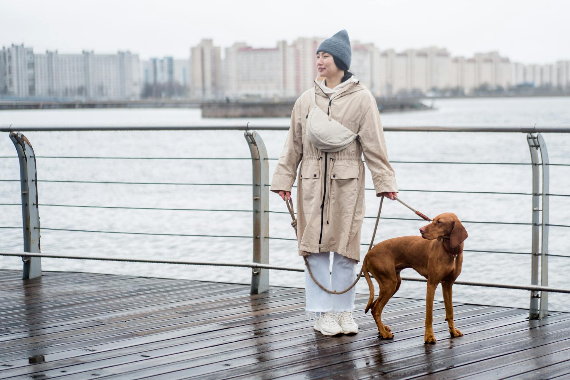 A Woman in Beige Coat Standing on a Wooden Dock with Her Brown Dog