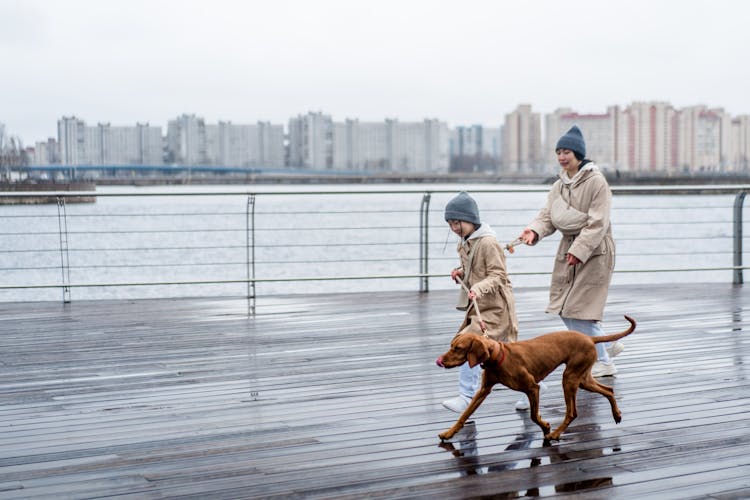 A Mother And Child Walking The Dog On A Wet Wooden Floor