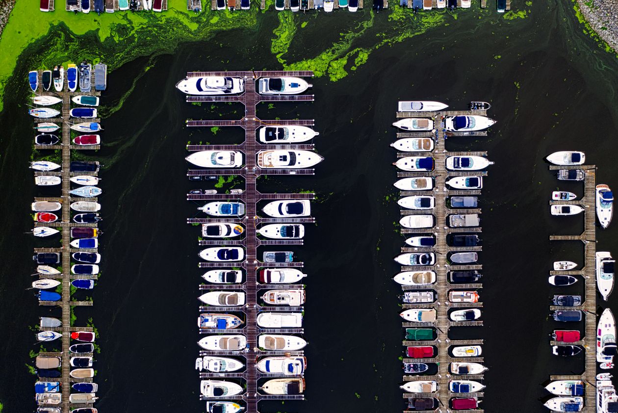 Boats docked at a Minnesota marina
