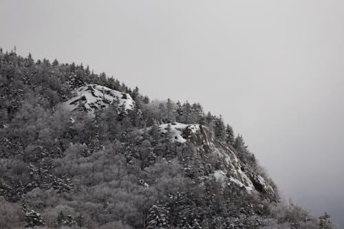 Kostnadsfri bild av berg, dagtid, dimmig
