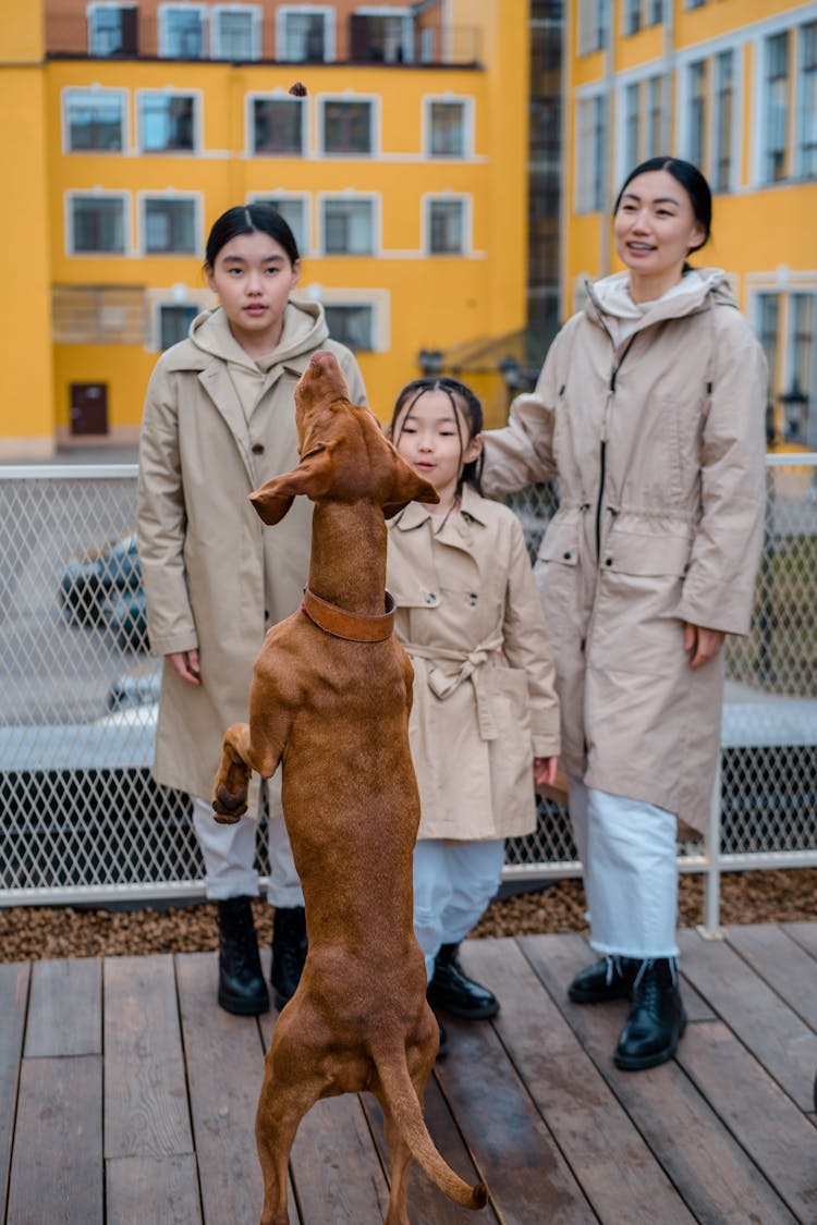 Mother And Daughters Playing With A Dog 