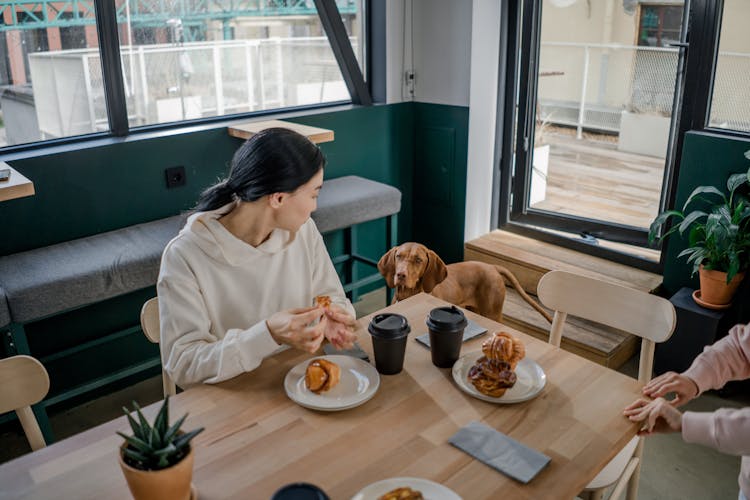 Woman Looking At Her Pet Dog