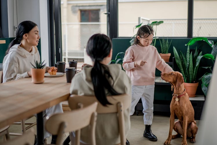 Family And Dog In Dining Room