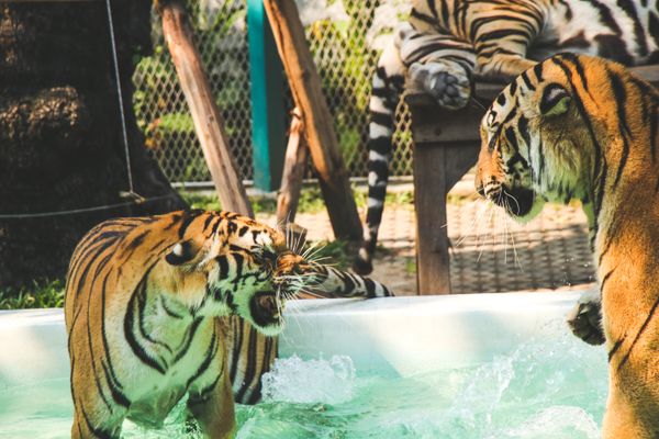 Pattaya - THAILAND - 6N/7D - Destinations