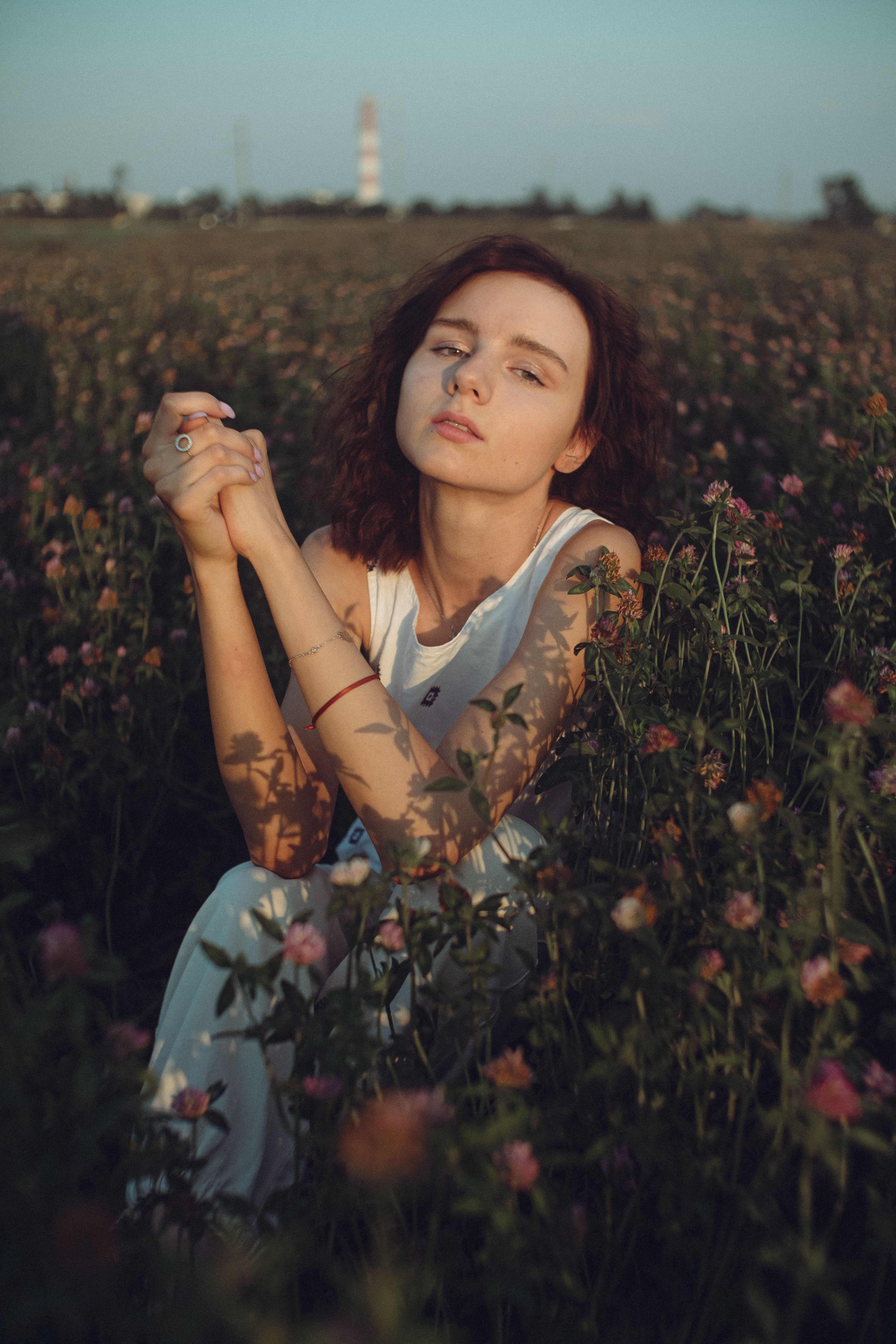 Woman in White and Blue Floral Dress Sitting on Flower Field · Free ...