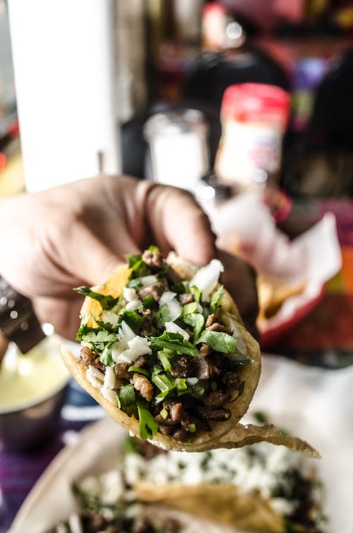 Free stock photo of taco, tacos