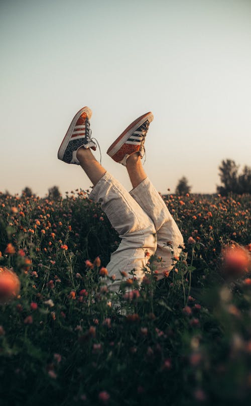 Person in Brown Pants and Black and White Sneakers Sitting on Red Flower Field