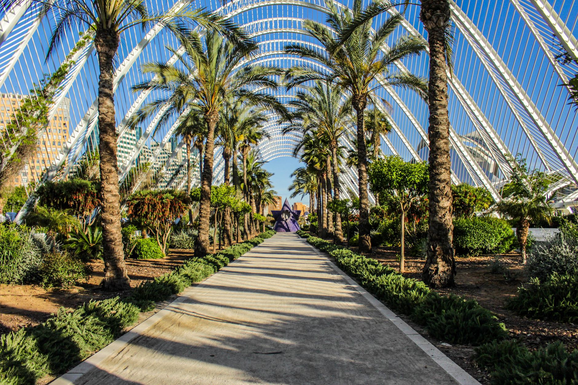 Illustrative photo: a park pathway lined with palm trees, similar to the setting where Miller was found.