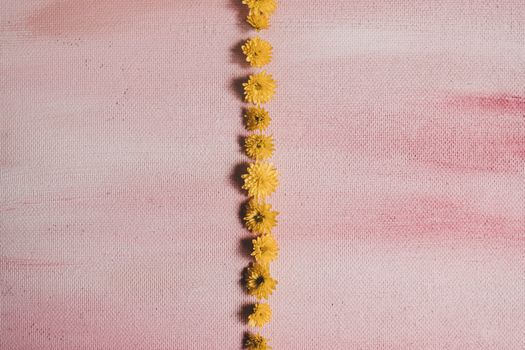 A row of small yellow flowers arranged on a textured pink backdrop, creating a minimalist floral composition.