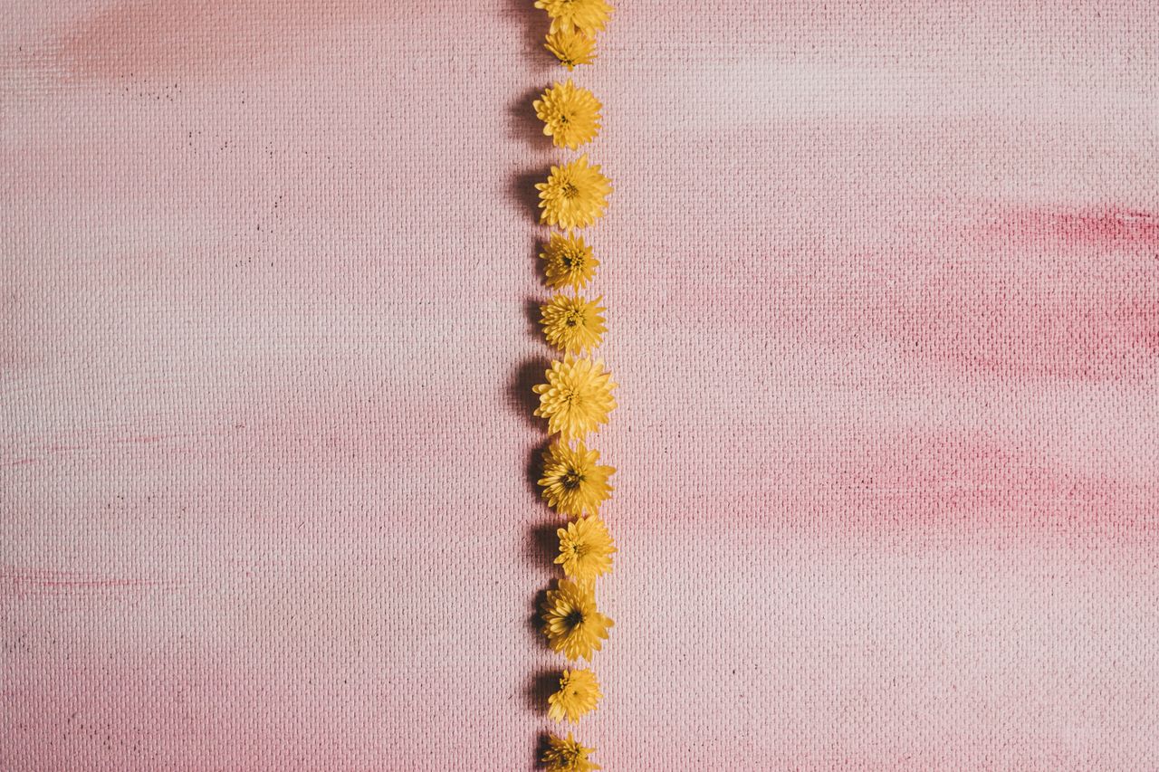a row of small yellow flowers arranged on a textured pink backdrop cre