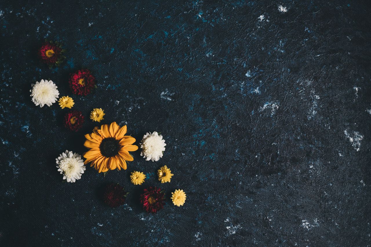 a striking display of colorful flowers against a dark textured surface