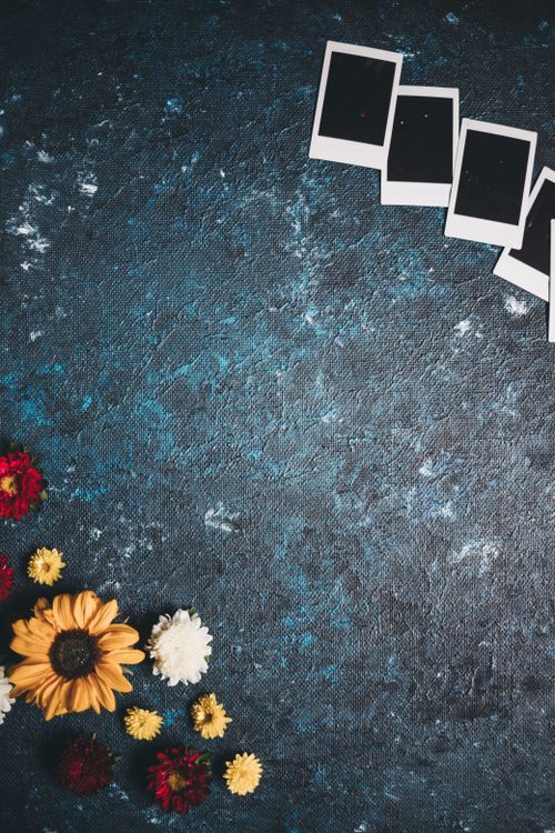 Free Colorful flowers and blank Polaroid photos on a textured background with ample copy space. Stock Photo