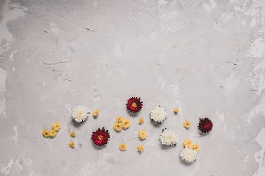 Artistic flat lay of red, white, and yellow flowers on textured background, emphasizing simplicity and purity.