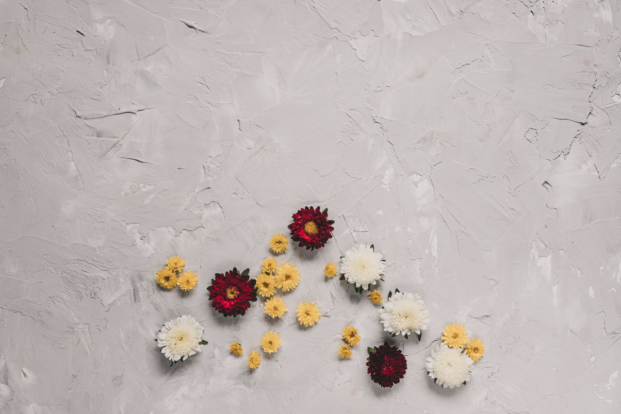 beautiful arrangement of chrysanthemums on a textured gray surface sho