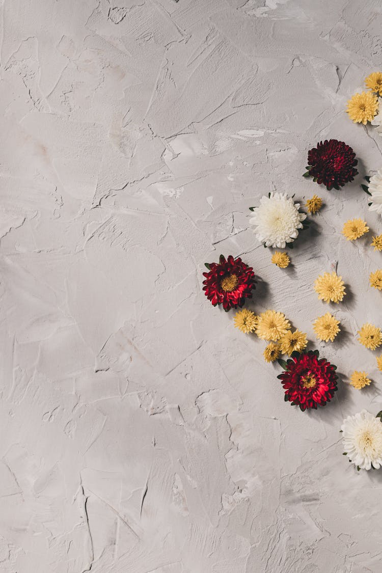 White And Purple Flowers On White Surface