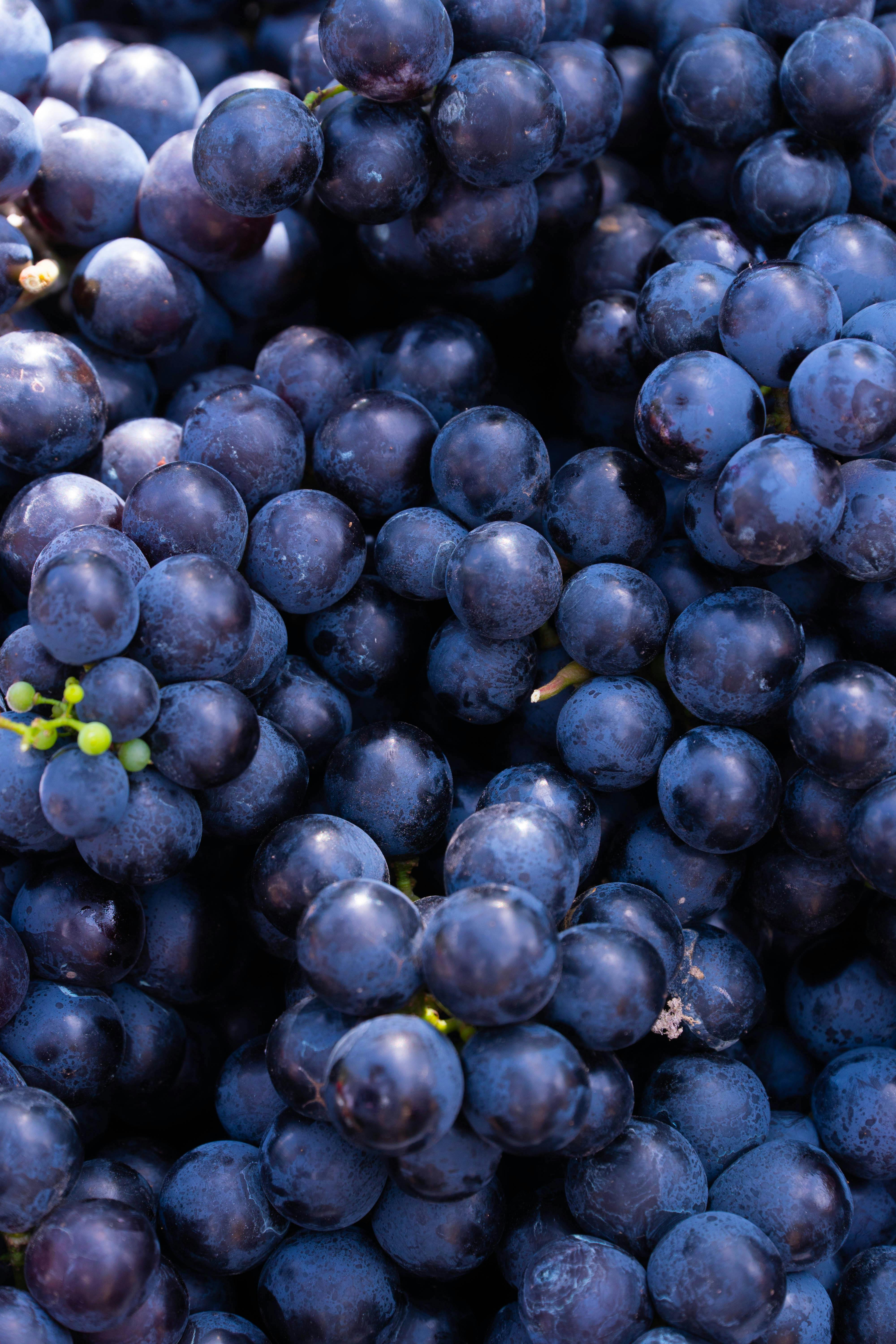 The Grapes are Bigger than the Giants — Larry Stockstill