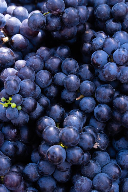 Gratis stockfoto met detailopname, druiven, eten