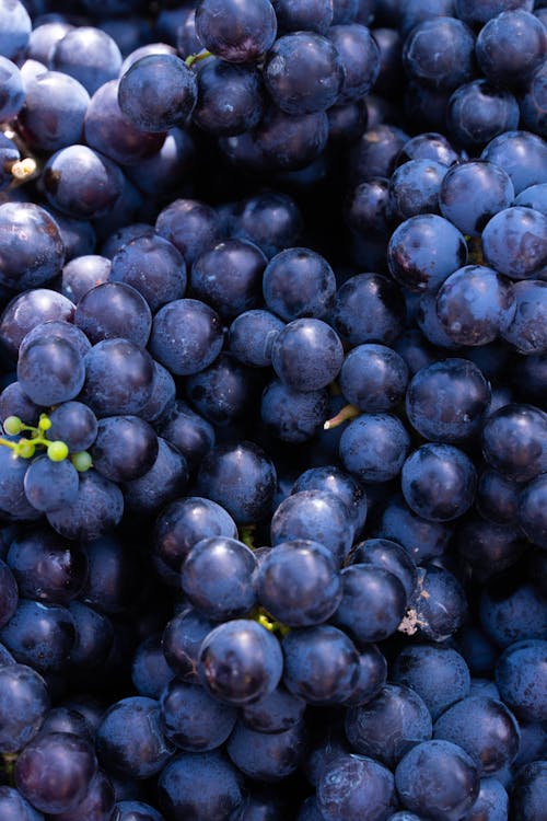 Photograph of a Pile of Grapes