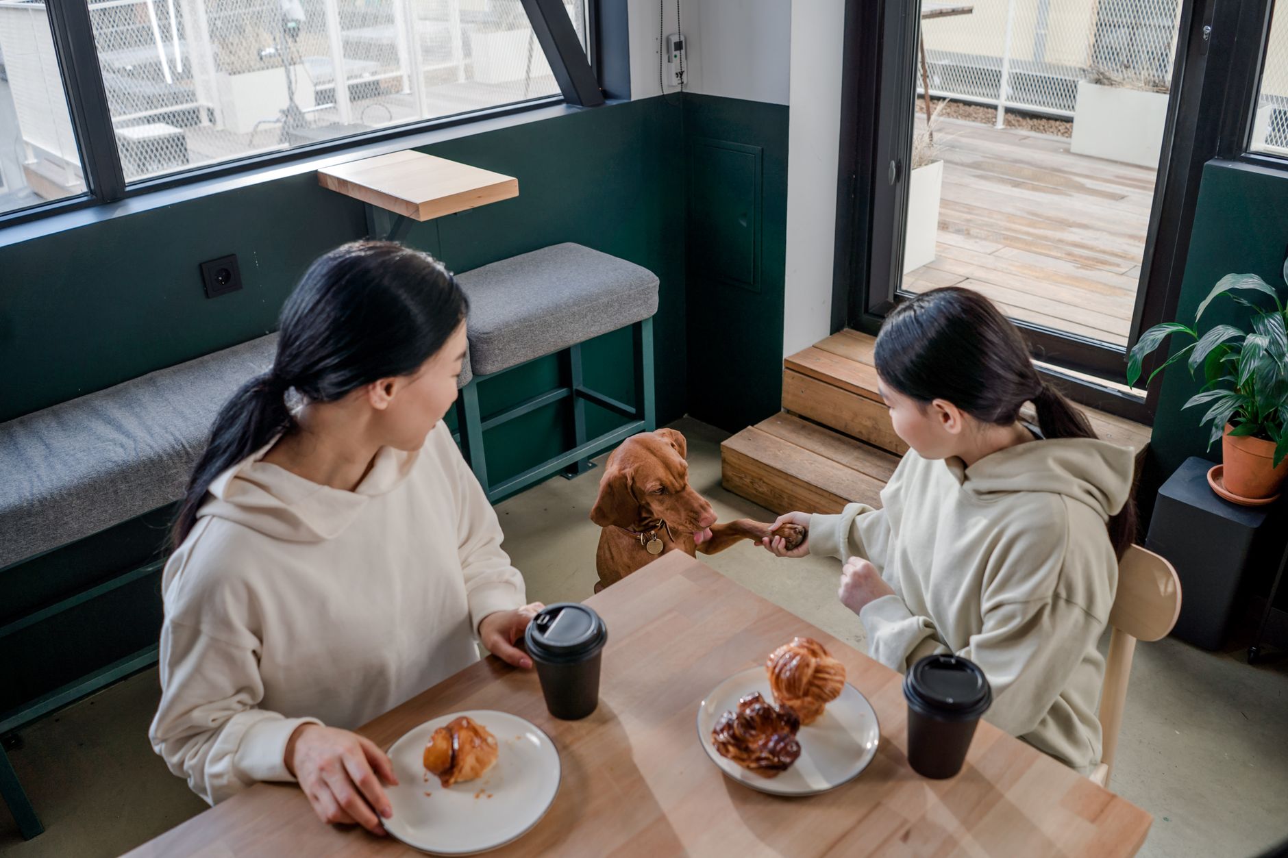 新北寵物友善景點:帶毛孩玩樂的公園咖啡步道全指南 A mother and daughter share a warm moment with their dog in a café, enjoying coffee and pastries.