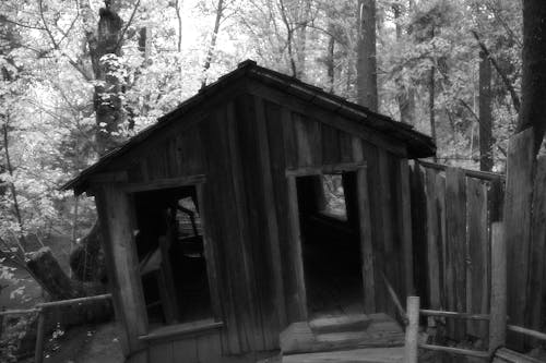 Free stock photo of abandoned, black and white, old cabin