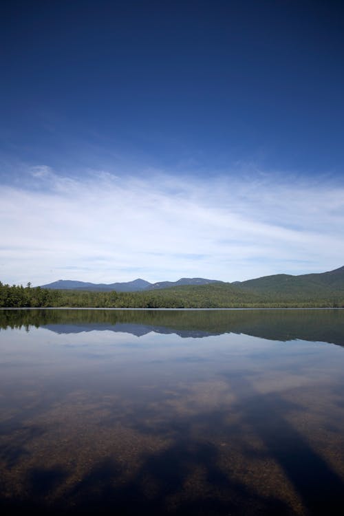 Free Landscape Photography of Lake and Tree Stock Photo