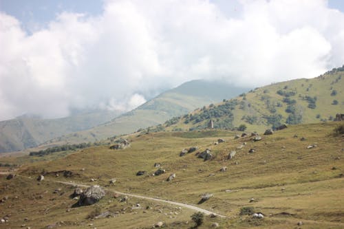 Foto stok gratis alam, bukit, di luar rumah