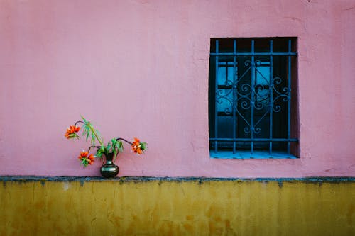 Fotobanka s bezplatnými fotkami na tému architektúra, dekorácia, dizajn