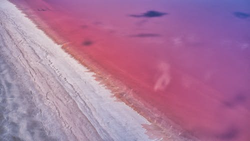 Aerial Photography of Burlinskoye Ozero Lake in Russia
