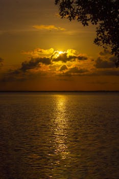 Golden sunset reflecting over the tranquil waters of Cancun, with silhouetted clouds and gentle waves.