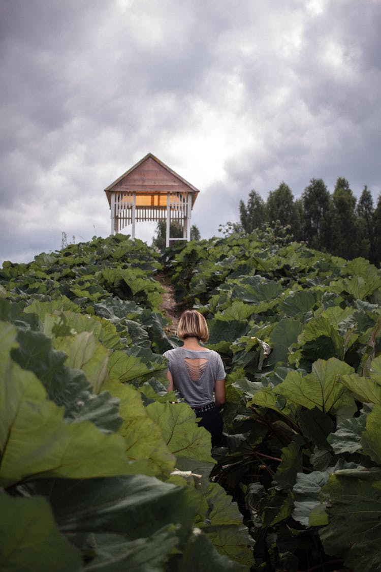 Woman Walking In Garden