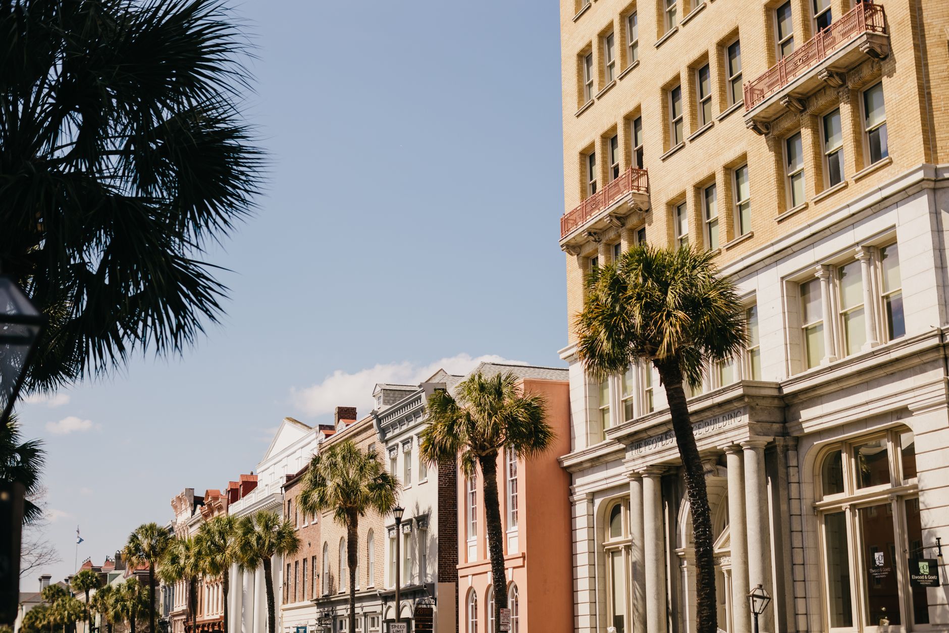 Charming street view of historical buildings and palm trees in Charleston, SC.