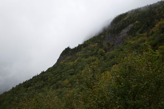 A mist-covered forest mountain landscape with dense greenery and low-hanging clouds.