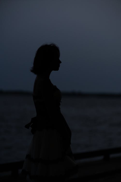 Silhouette of Woman Standing on Seashore