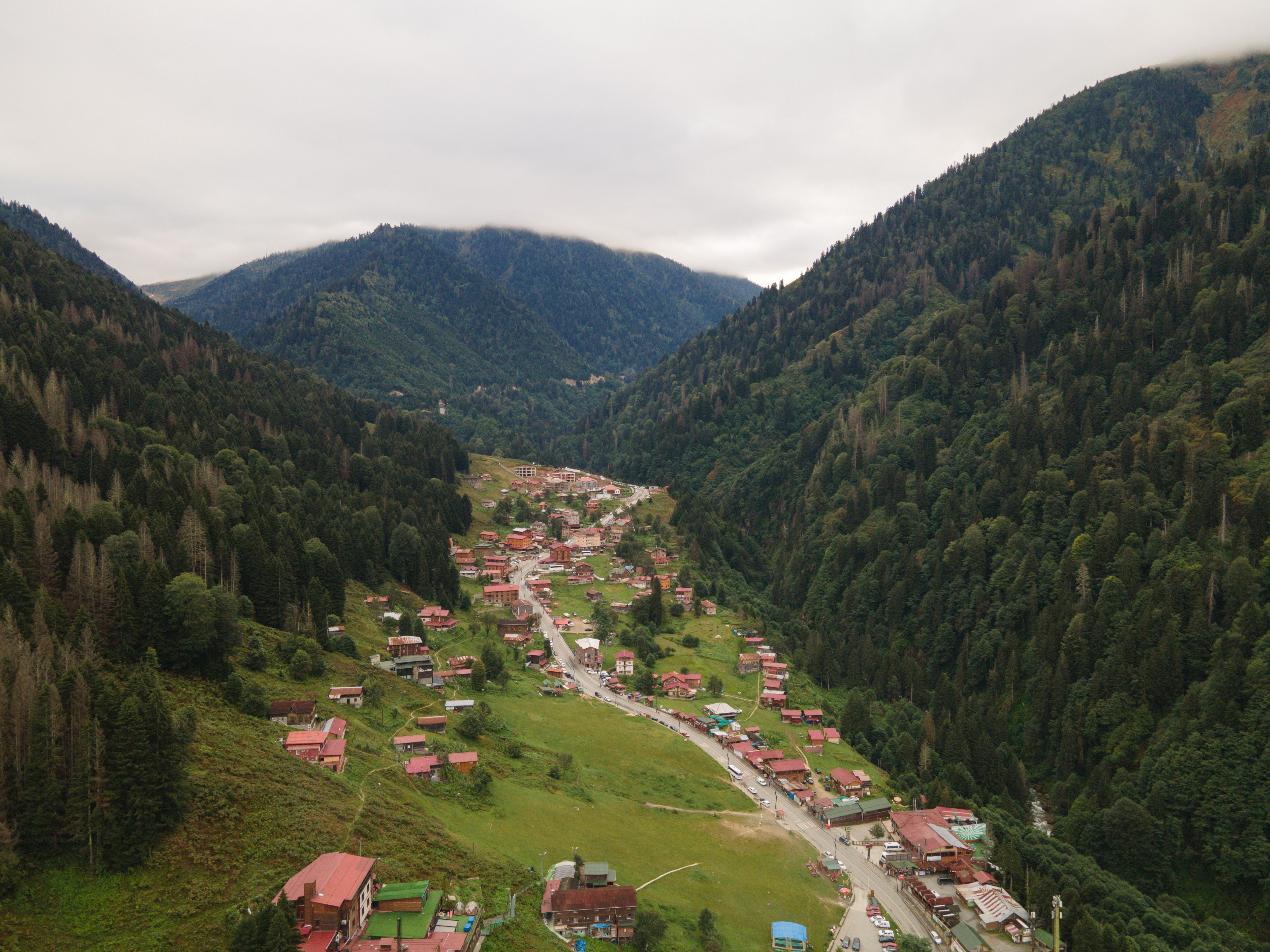 Yayla Molası