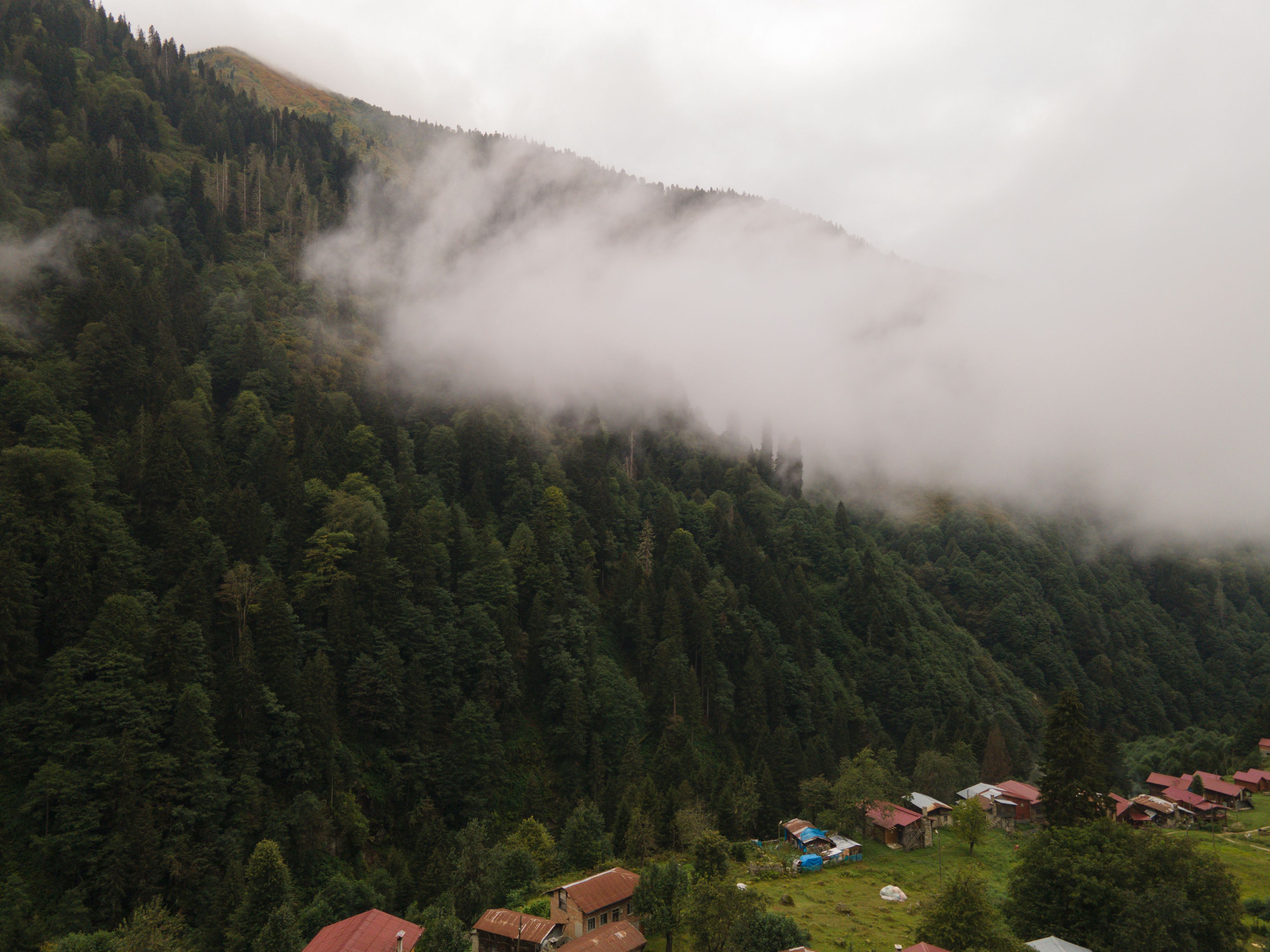 Fog envelops a lush mountain landscape in Rize, Turkey with quaint houses below.