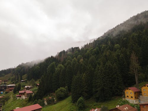 Gratis lagerfoto af bjerg, droneoptagelse, grønne træer Lagerfoto