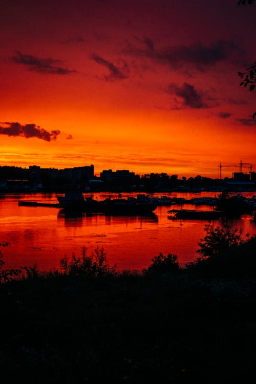 Základová fotografie zdarma na téma @ venku, oranžová obloha, silueta