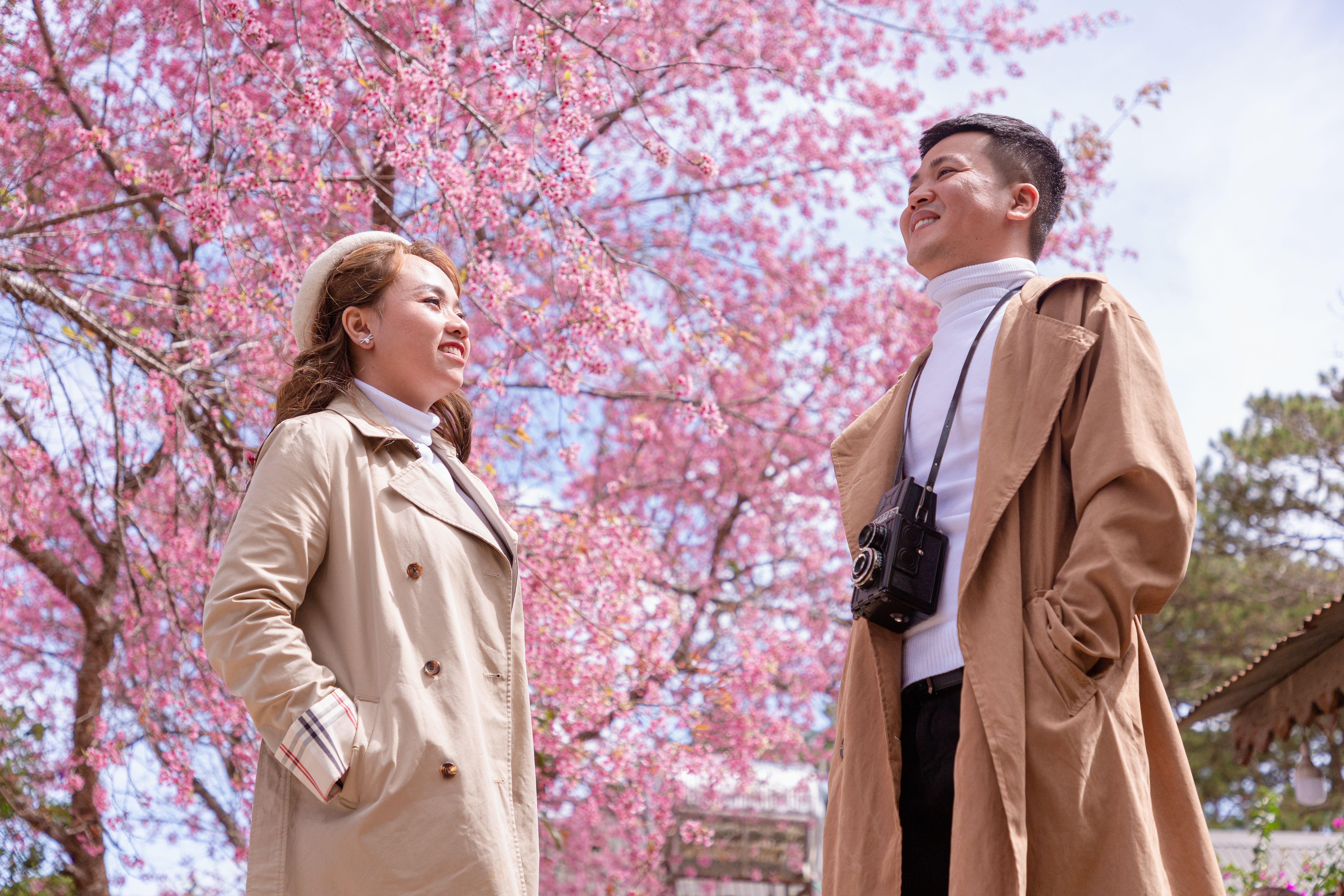 Man and Woman Standing Under Pink Cherry Blossom Tree · Free Stock Photo