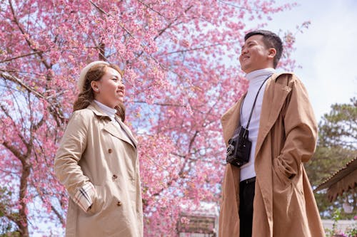 Free Man and Woman Standing Under Pink Cherry Blossom Tree Stock Photo