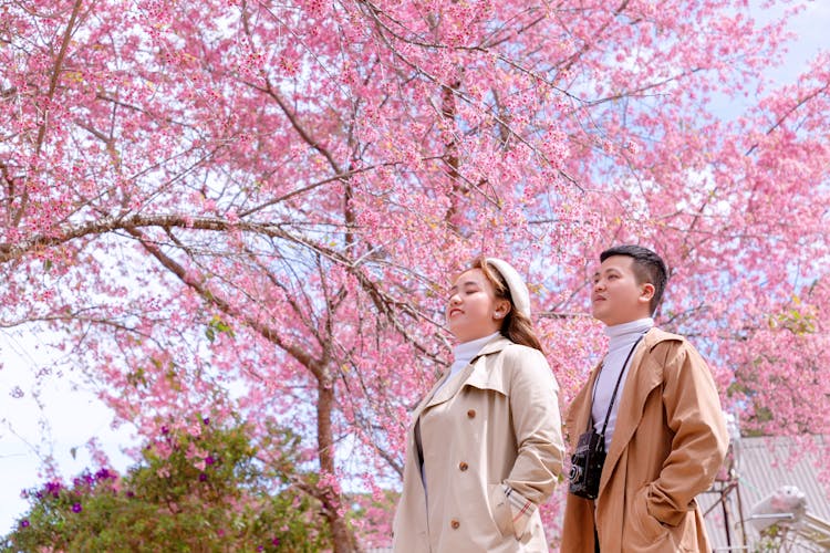 Woman And Man Walking Near Tree In Spring