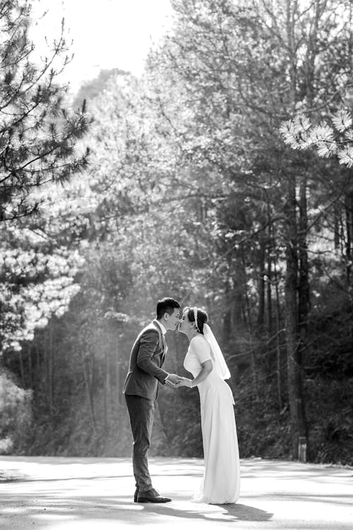 Foto profissional grátis de árvores, beijando, casal