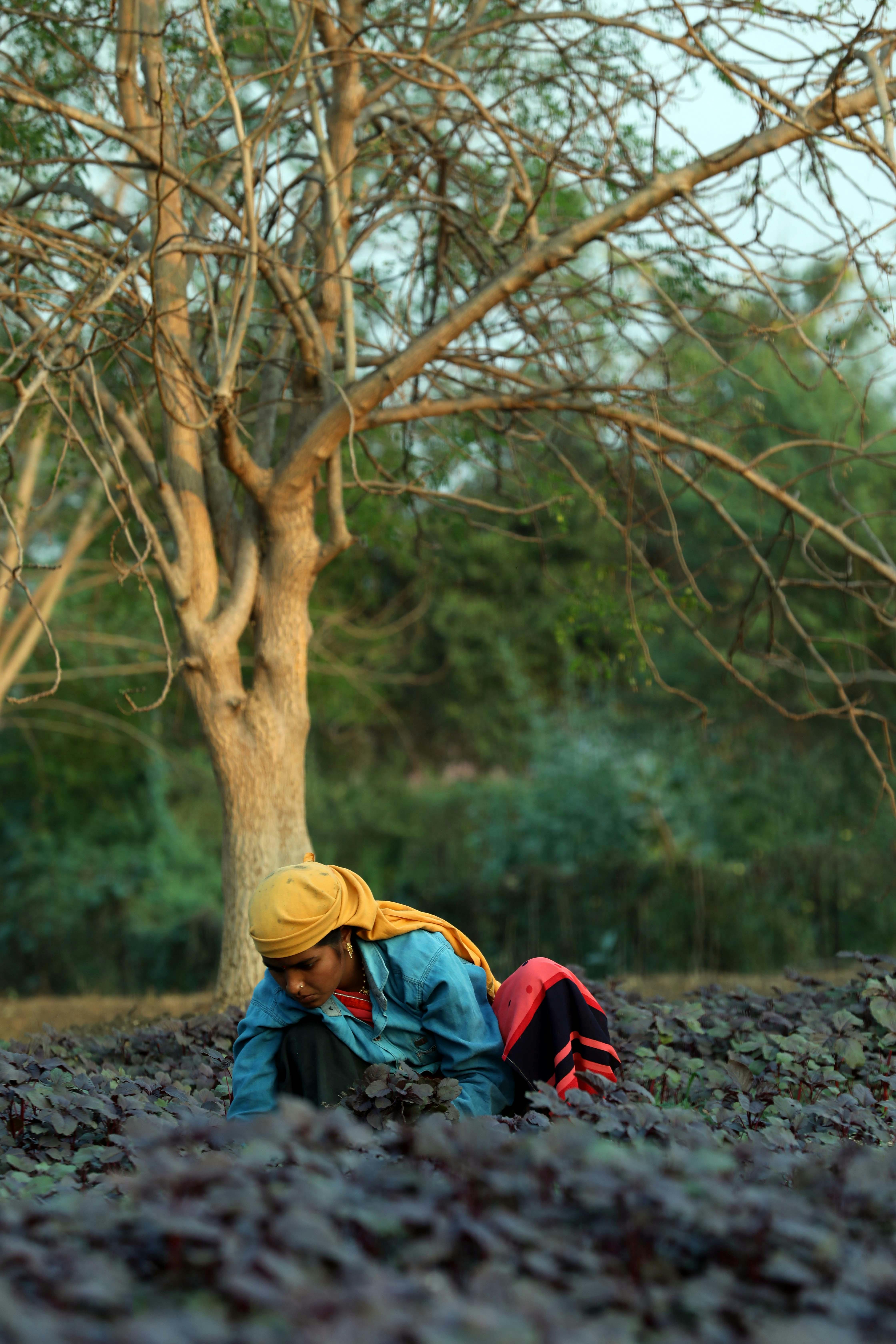 person in black jacket and yellow knit cap sitting on ground near brown tree