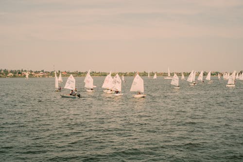 Free Sailboats Racing on the Sea Harbor Stock Photo