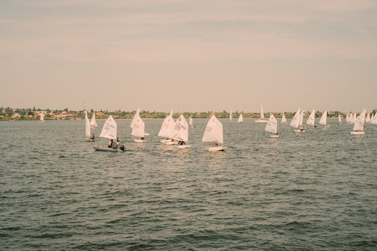 Sailboats Racing On The Sea Harbor